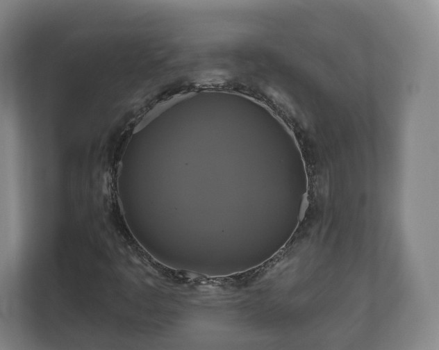 X0000111201445200907081232