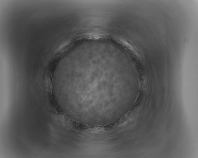 X0000111201446200907081232