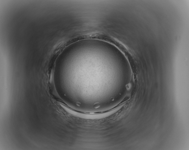 X0000111201447200907081232