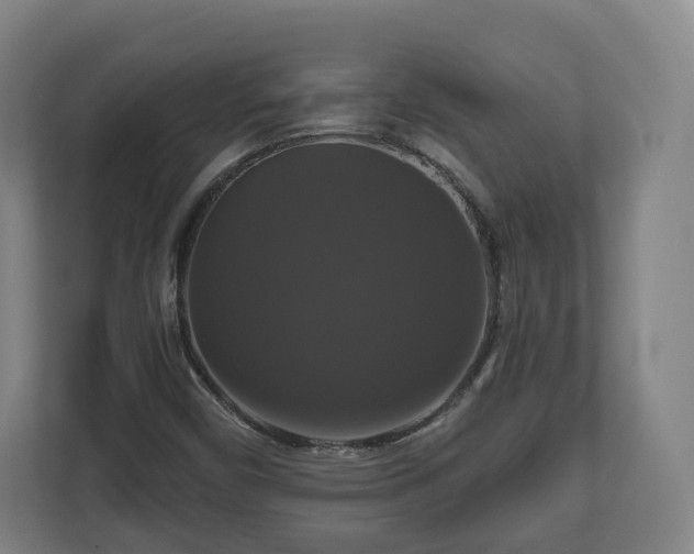 X0000111201450200907081232