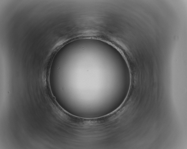 X0000111201451200907081232