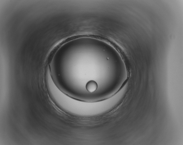 X0000111201452200907081232