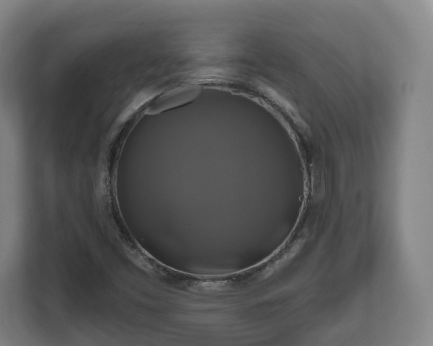 X0000111201453200907081232