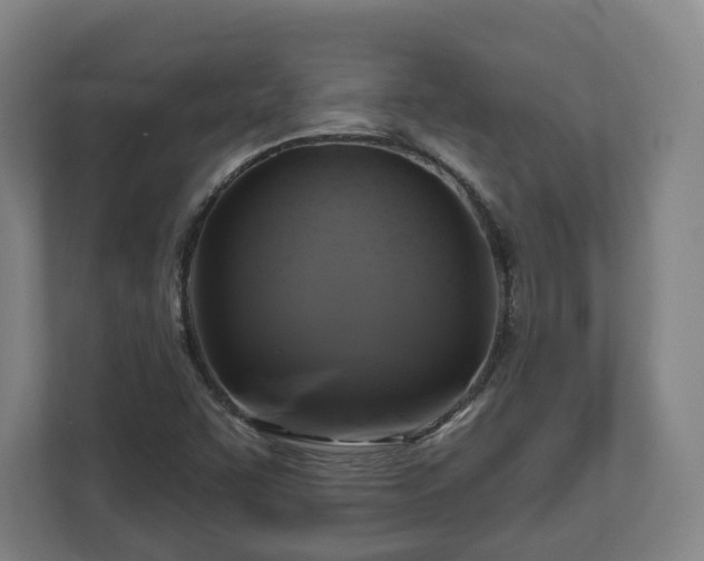 X0000111201455200907081232