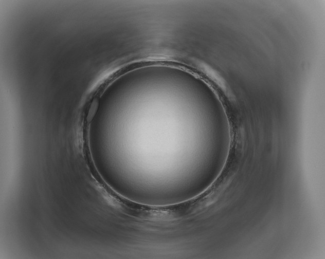 X0000111201456200907081232