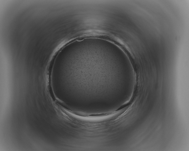 X0000111201459200907081232