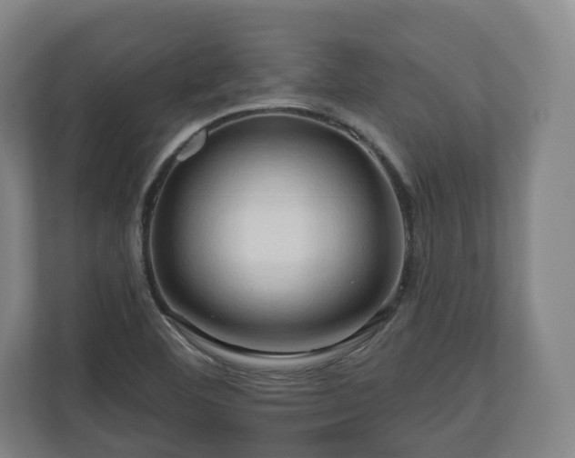 X0000111201460200907081232