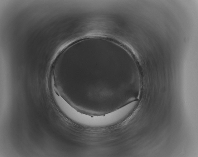 X0000111201461200907081232