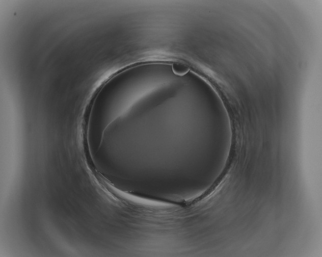 X0000111201463200907081232