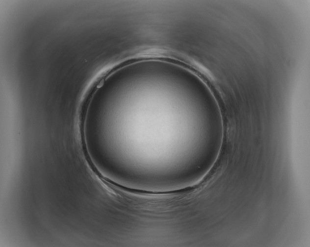 X0000111201464200907081232