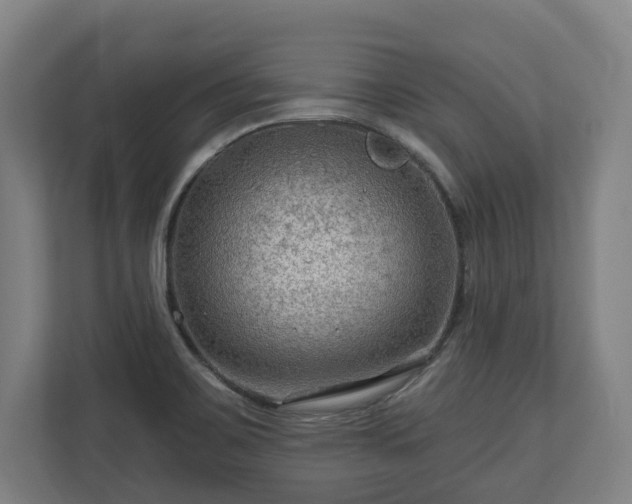 X0000111201467200907081232