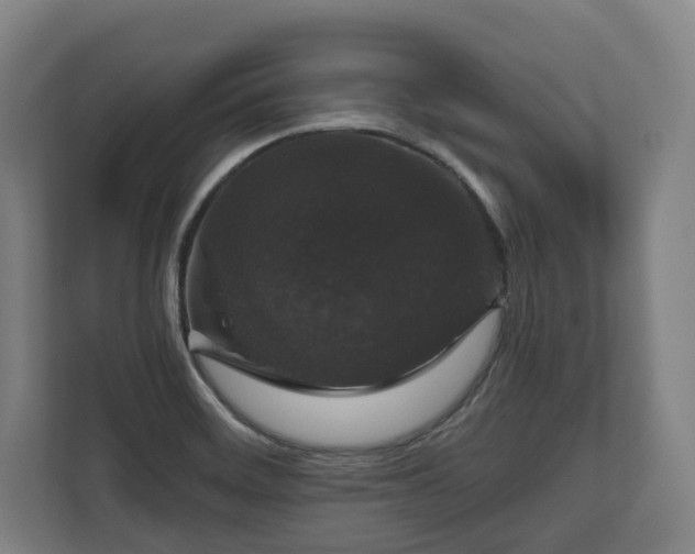 X0000111201468200907081232