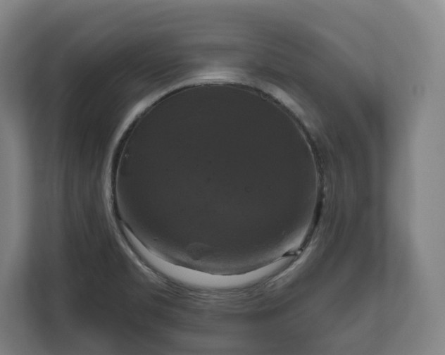 X0000111201469200907081232