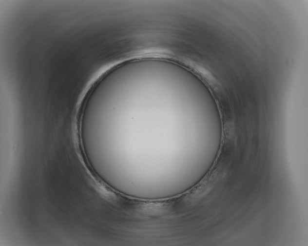 X0000111201470200907081232