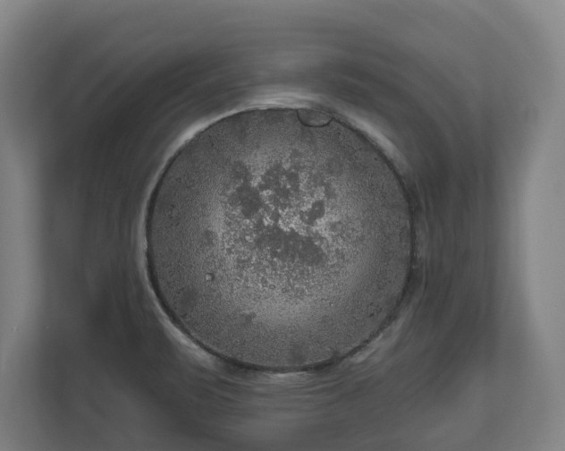 X0000111201471200907081232