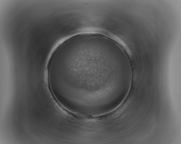 X0000111201472200907081232