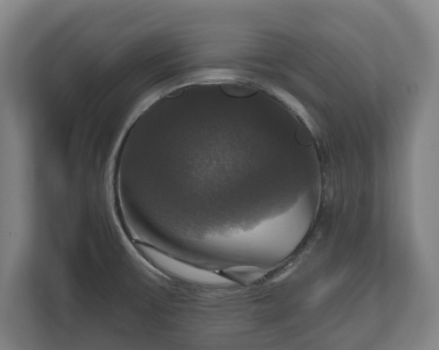 X0000111201475200907081232