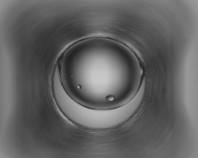 X0000111201476200907081232