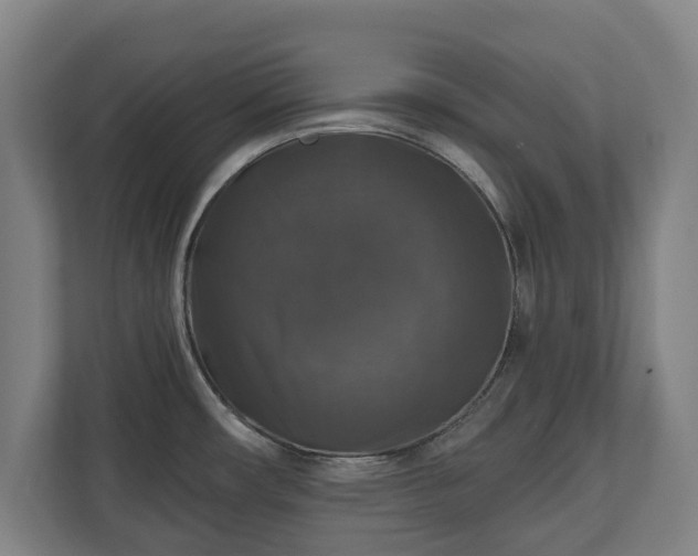 X0000111201482200907081232