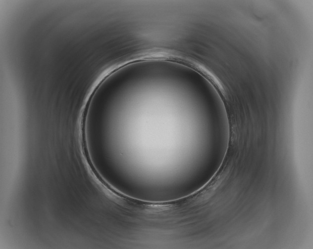 X0000111201483200907081232