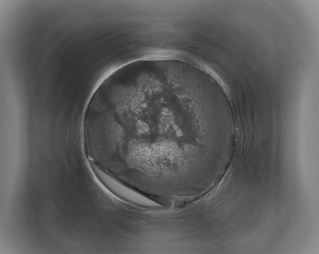 X0000111201487200907081232