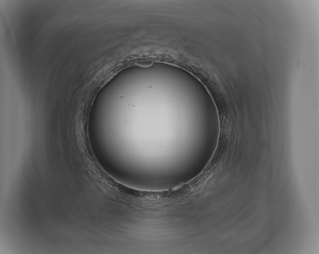 X0000111201489200907081231