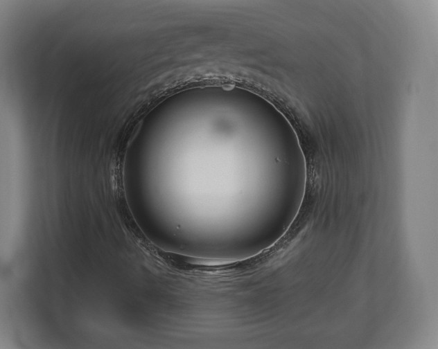 X0000111201490200907081231