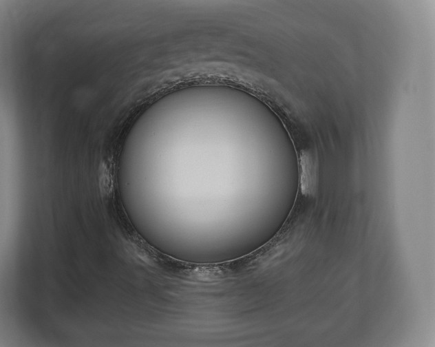 X0000111201491200907081231