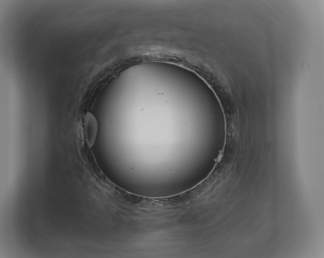 X0000111201493200907081231