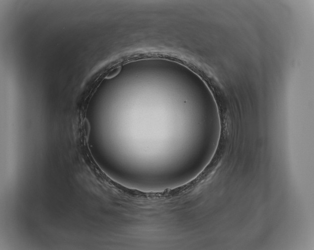 X0000111201494200907081231