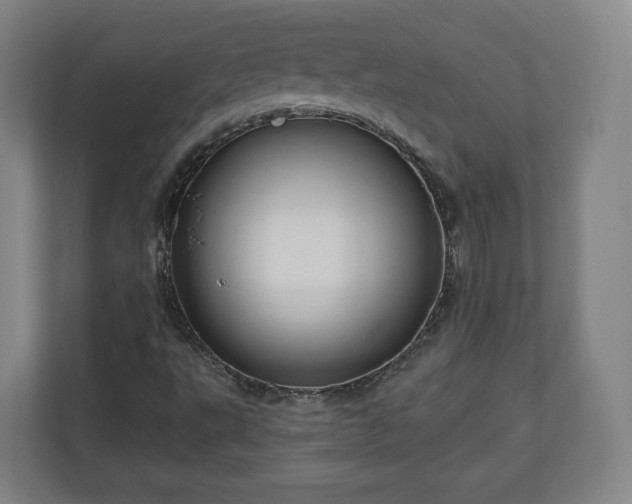 X0000111201495200907081231