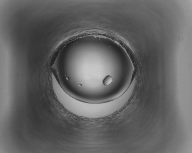 X0000111201496200907081231