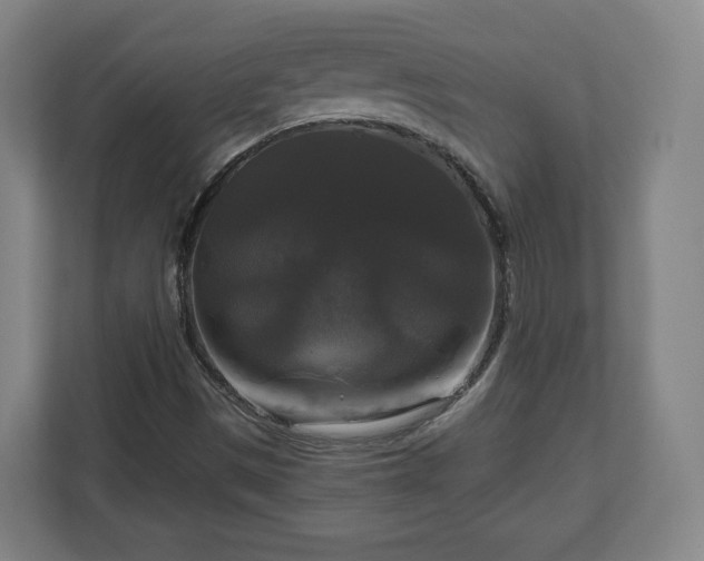 X0000111201497200907081231