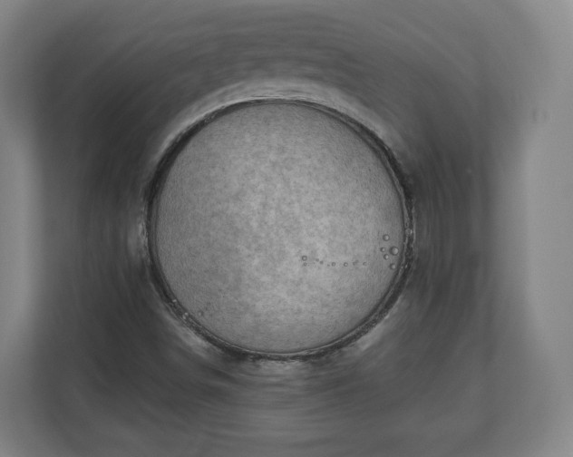 X0000111201498200907081231