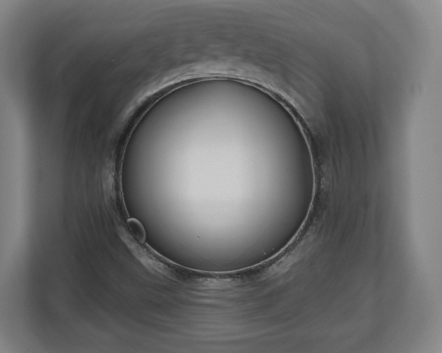 X0000111201499200907081231