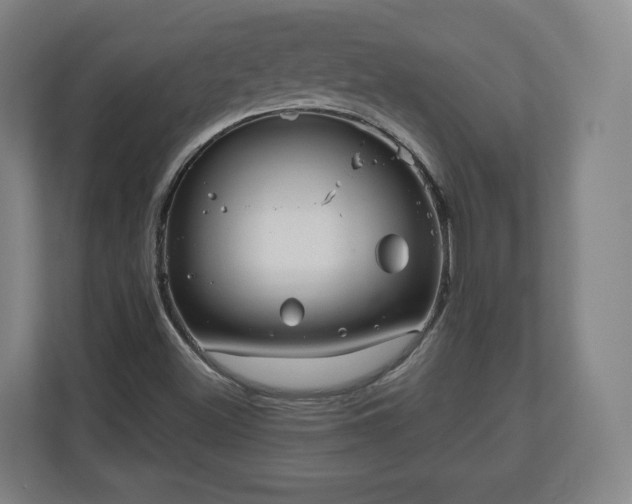 X0000111201500200907081231