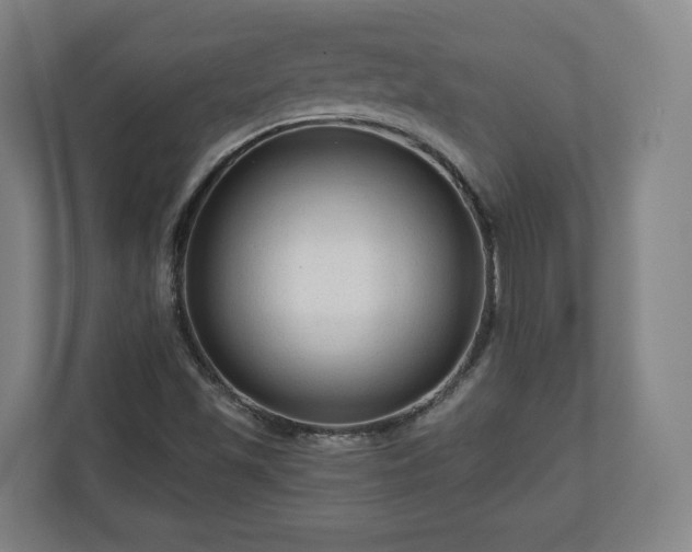 X0000111201501200907081231