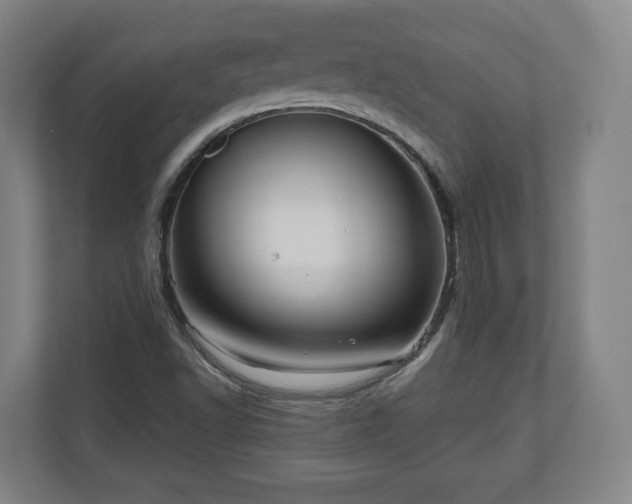 X0000111201502200907081231