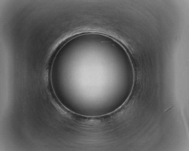 X0000111201503200907081231