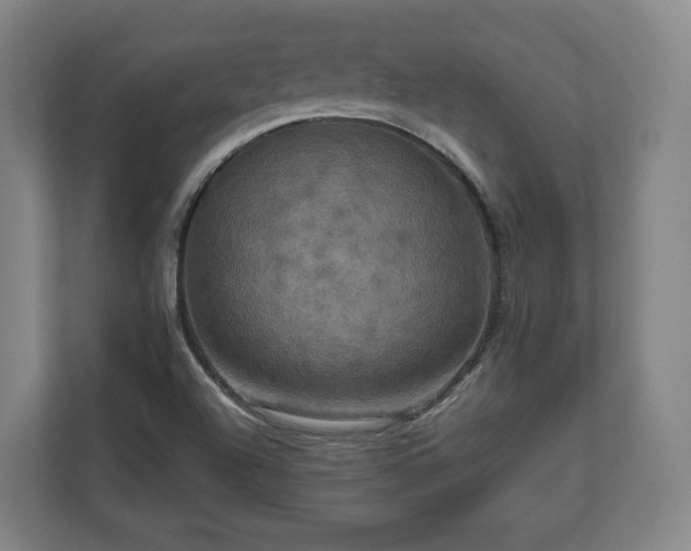 X0000111201504200907081231