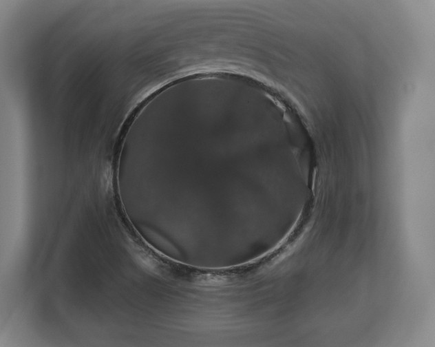 X0000111201505200907081231