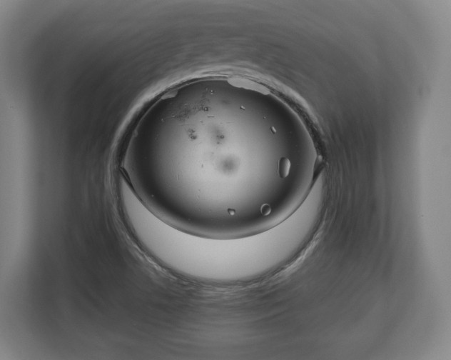 X0000111201506200907081231