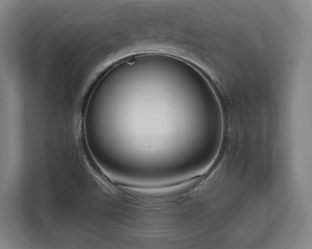 X0000111201507200907081231