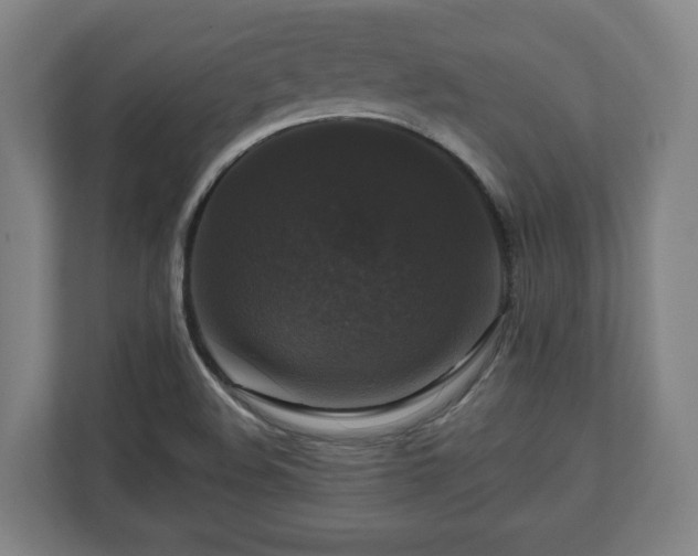 X0000111201508200907081231