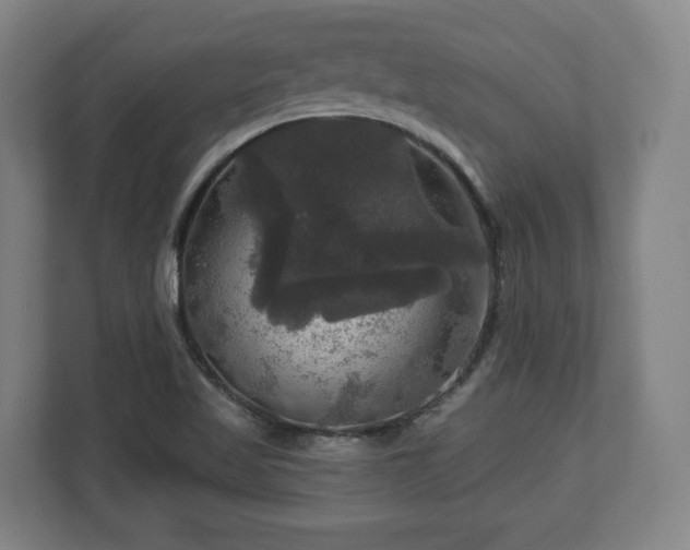 X0000111201509200907081231