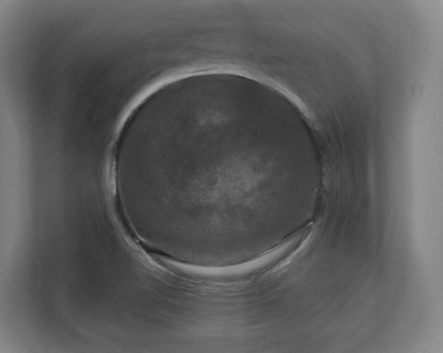 X0000111201510200907081231