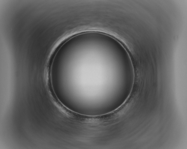 X0000111201511200907081231