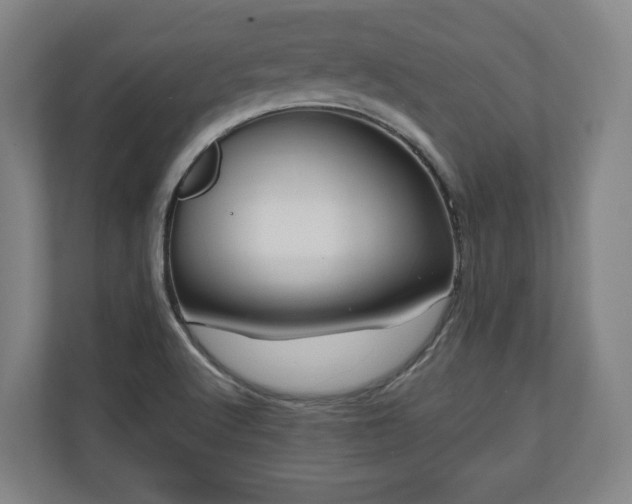 X0000111201512200907081231