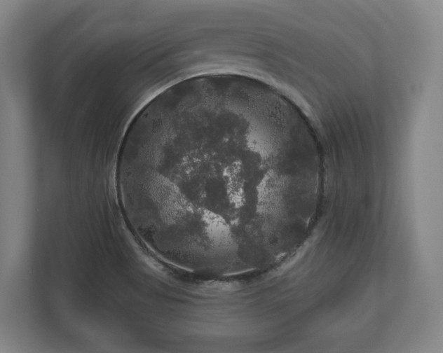 X0000111201513200907081231