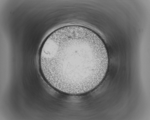 X0000111201514200907081231